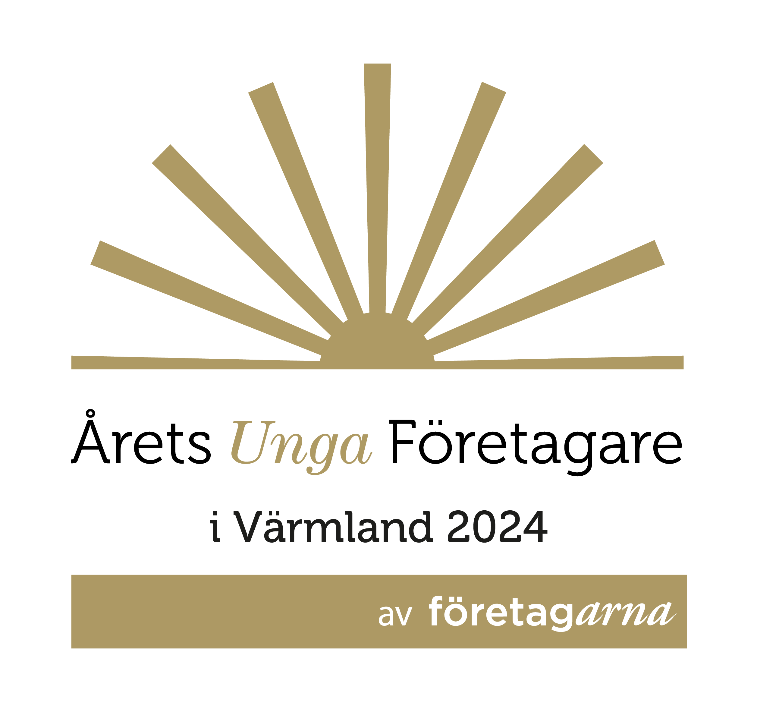 arets unga foretagare varmland 2024